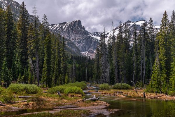 Grand Teton Nemzeti Park,természet,tájkép,USA,folyó,fák