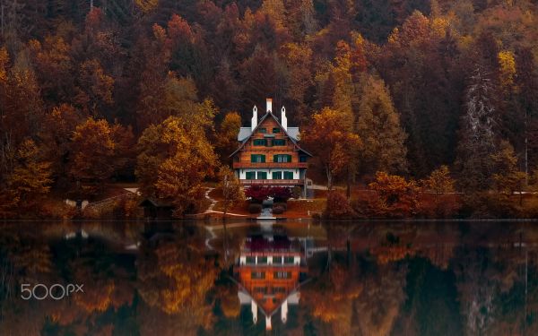 landskap,skog,slovenien,Lake Bled