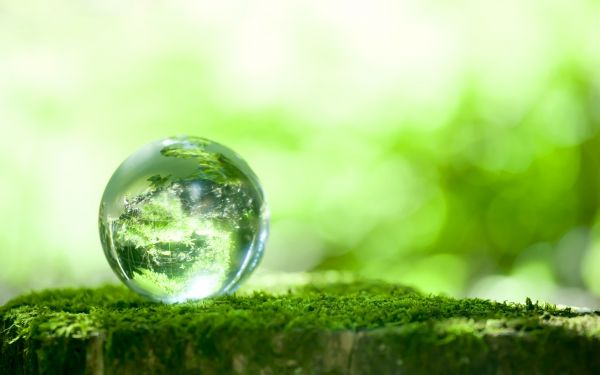 agua,naturaleza,fotografía,luz de sol,reflexión,césped