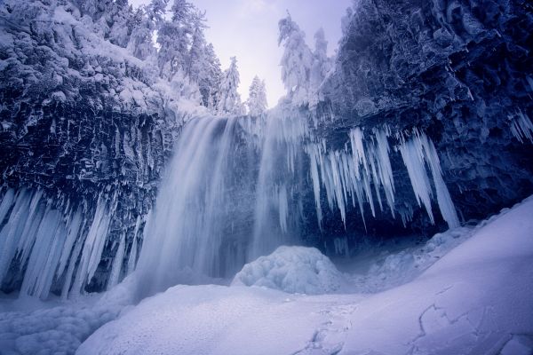 cascada, agua, naturaleza, invierno, bosque, nieve