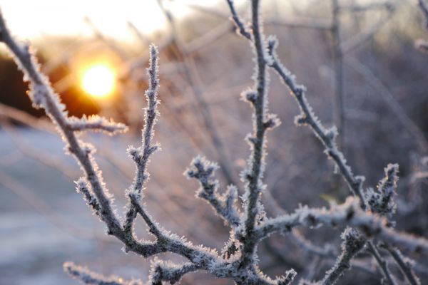 luz de sol,paisaje,naturaleza,cielo,nieve,invierno