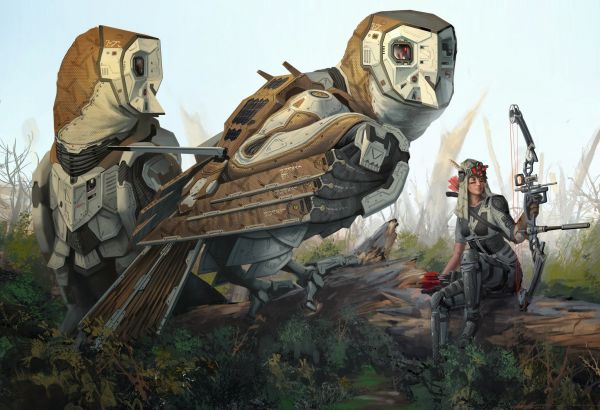 fantasy art,robot,futuristic,bow,soldier,owl