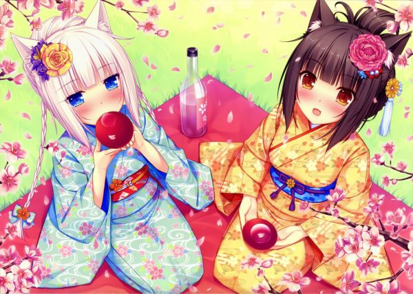 Chocolat Neko Para,3484x2484 px,Tai động vật,Anime,Anime cô gái,Hoa anh đào