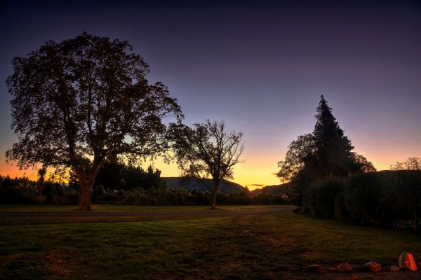 sunlight, trees, landscape, sunset, night, nature