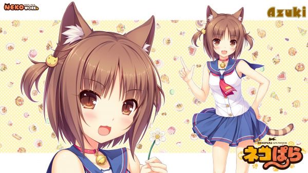 Azuki,1920x1080 px,Neko Works,Nekomimi,Sayori