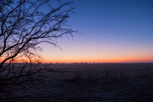 sunlight, landscape, sunset, sky, sunrise, evening