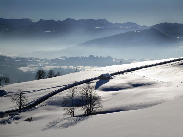 paysage,blanc,colline,ciel,ombre,neige