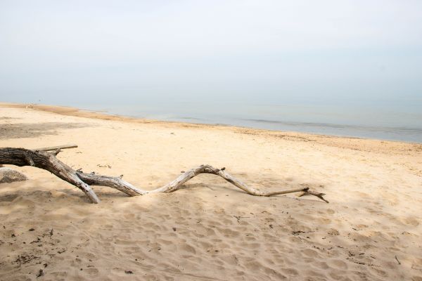 Meer,Wasser,Ufer,Sand,Strand,Küste