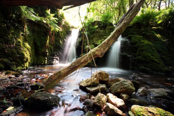 Landschaft, Wasser, Rock, Bäume, Wald, Wasserfall