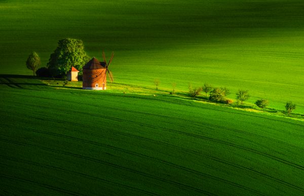 natureza,panorama,Árvores,campo,verde,moinho de vento