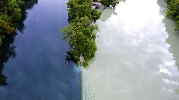 nature,landscape,trees,water,top view,river