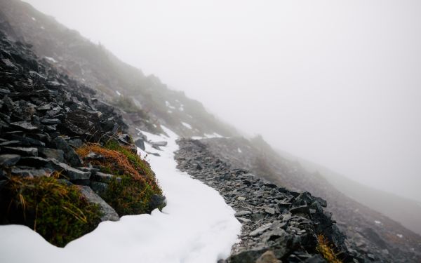 landskap,natur,vinter,morgen,hav,snø