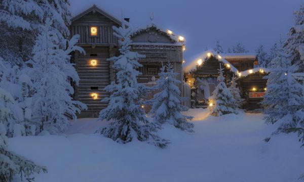 skog,natt,himmel,snø,vinter,hus