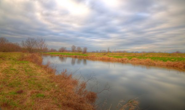 zimowy,lekki,zachód słońca,niebo,Słońce,kolor