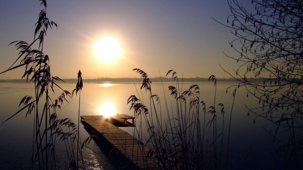 lumina soarelui,apus de soare,natură,reflecţie,ramură,răsărit