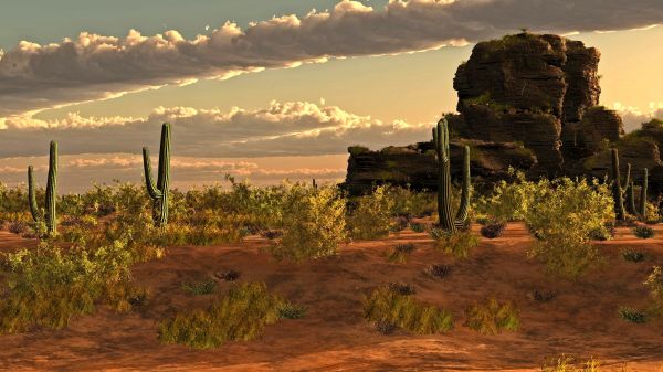 sky,color,green,clouds,sand,rocks