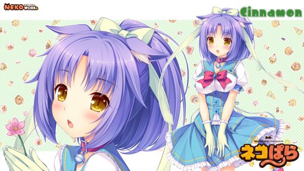 1920x1080 px,Neko Para,Neko Works,Nekomimi,ซาโยริ,Cinnamon character