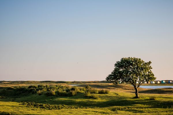 landscape,sunset,sea,nature,grass,hill