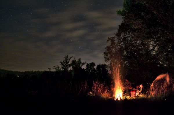 nat,sollys,Skov,mennesker,natur,himmel