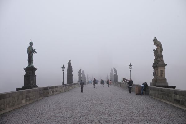 Leica,Mañana,viajar,otoño,blanco,puente