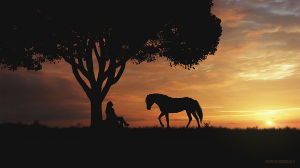 hest,himmel,Sky,plante,atmosfære,økoregion