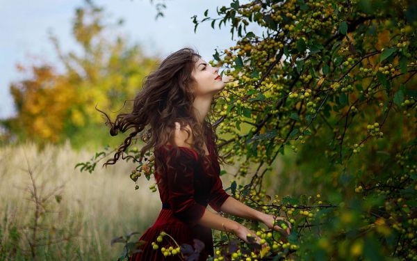 zonlicht, Bos, women outdoors, vrouw, model-, natuur