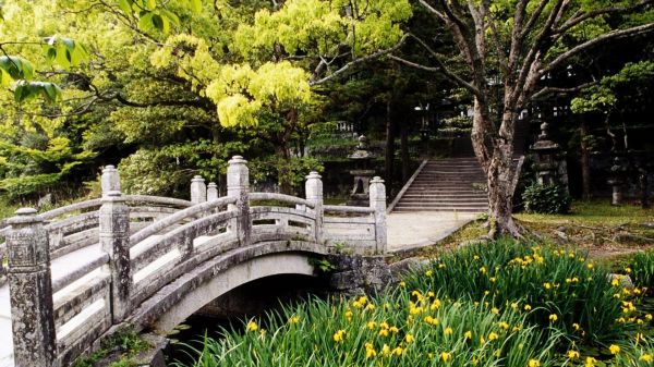 木,風景,フラワーズ,庭園,自然,草