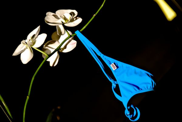 fehér,orchidea,zöld,kosztüm,Blu,bikini