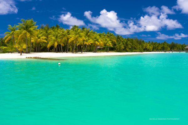 mar,bahía,apuntalar,playa,costa,palmeras