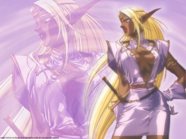 illustration,anime,Optag af Lodoss War,mangaka