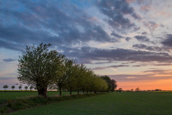 Sonnenuntergang,Himmel,Wolke,Feld,Landschaft,Landschaft