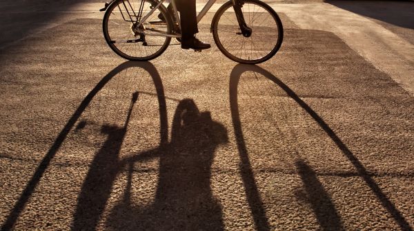 lumière du soleil,vélo,ombre,véhicule,bois,Sombra