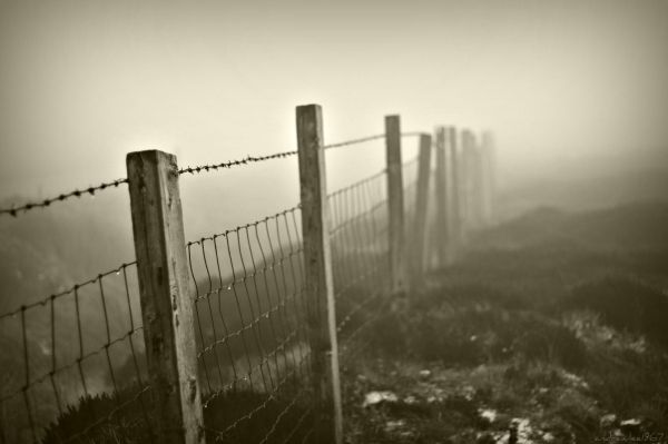 bianca,bianco e nero,cielo,fotografia in bianco e nero,nebbia,atmosfera