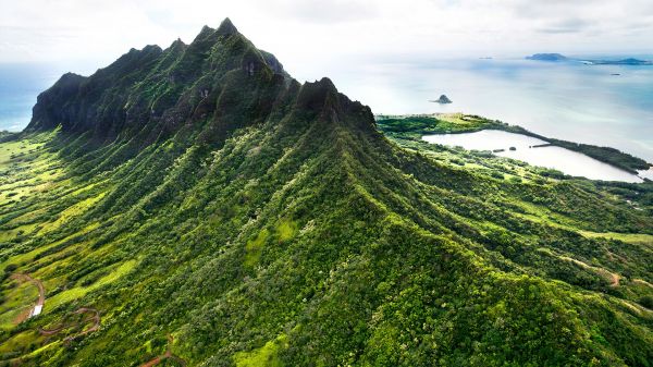 性质,景观,树木,植物,海,山