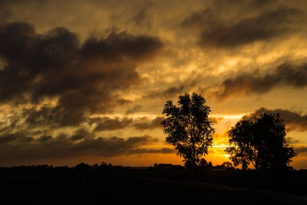 mattina,cielo,nuvole,Alba,paesaggio,Canone