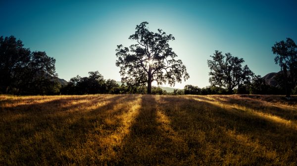 Trey Ratcliff,4k,fotografování,Kalifornie