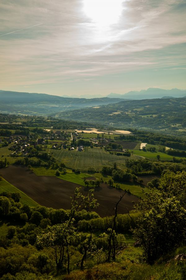 Fotografie,Natur,draußen,Grün,Dorf,Feld