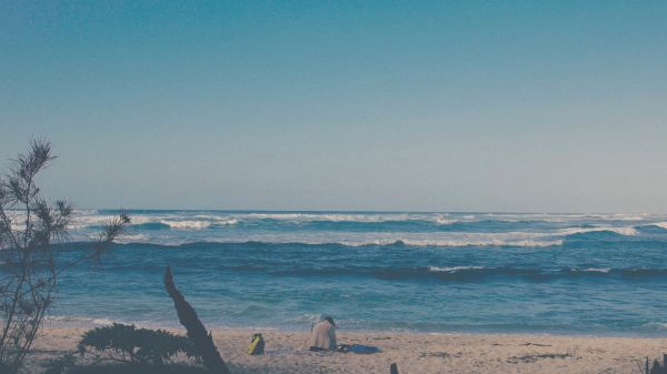 la nature,plage