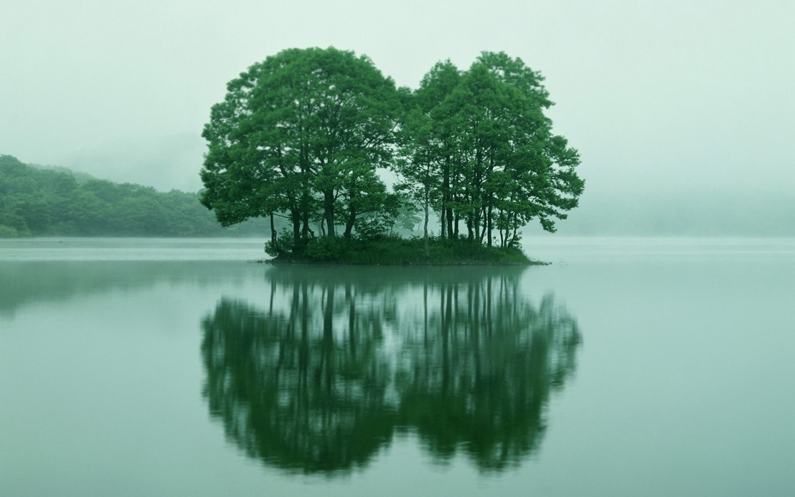 bomen, landschap, meer, water, natuur, reflectie, gras, hemel, tak, kalmte, groen, ochtend-, mist, zomer, Bank, boom, mist, blad, vegetatie, eilandje, reservoir, computer wallpaper, watervoorraden