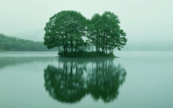 copaci,peisaj,lac,apă,natură,reflecţie