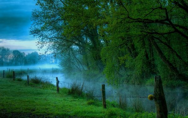 prikkeldraad,gras,2500x1563 px,groen,landschap,mist