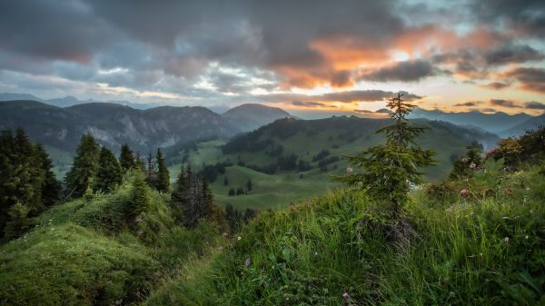 sky,plant,mountain,Natural landscape,tree,cloud