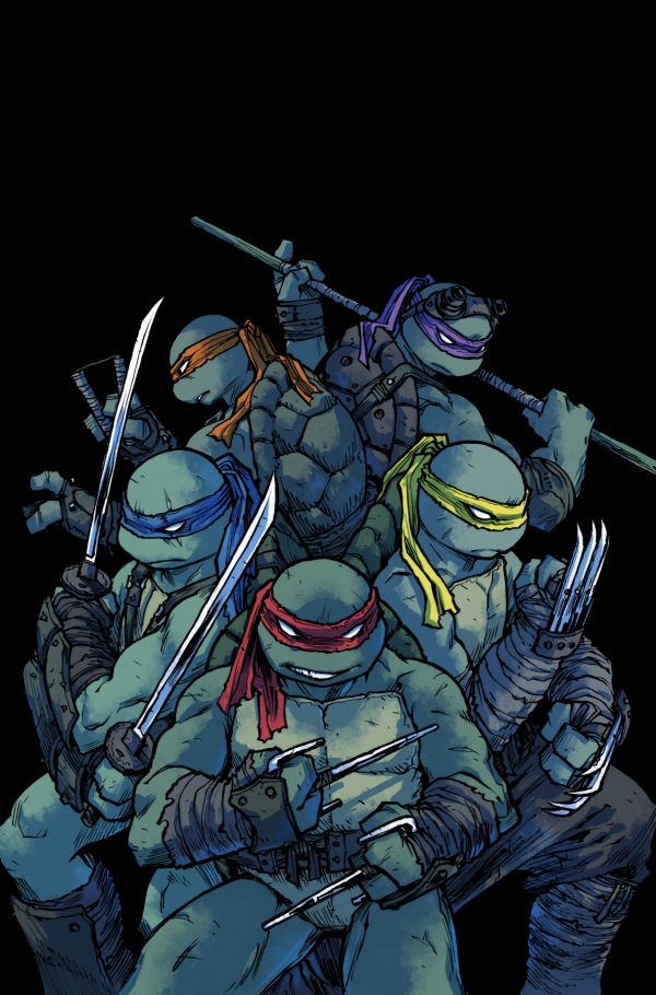 Teenage Mutant Ninja Turtles,serier,Sophie Campbell,IDW