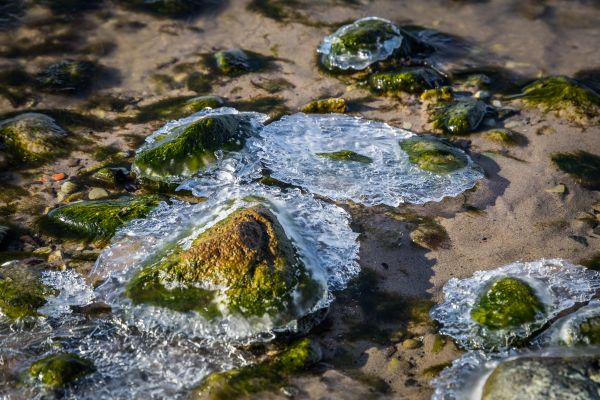 sea,water,rock,nature,beach,green