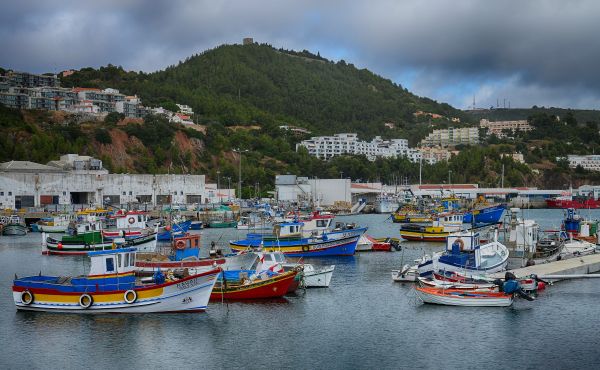 mar,bahía,agua,vistoso,barco,comida