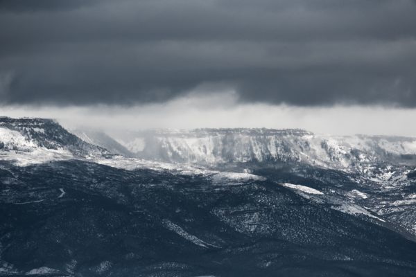 träd, hav, natur, snö, vinter-, is