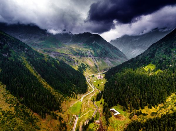 Roemeense,natuur,bergen,bomen,Transfagarasan,weg