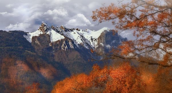 fjell, snø, Alpene, Annecy, natur, tre