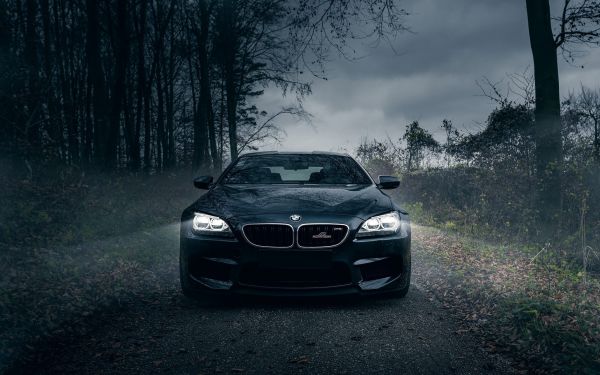 noche,bosque,negro,BMW