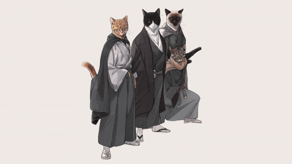 chats,Japon,samouraï,kimono,Fond simple,Katana